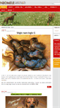 Mobile Screenshot of neomele.com