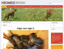 Tablet Screenshot of neomele.com